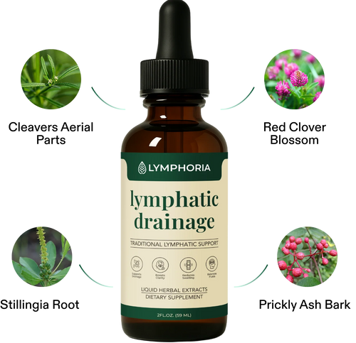 Lymphoria® Lymphatic Drainage Drops